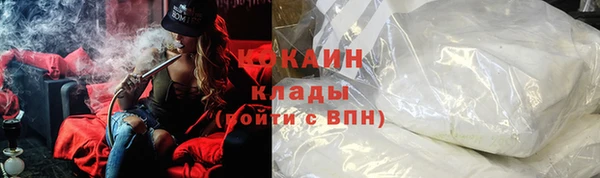 прущие грибы Вязьма