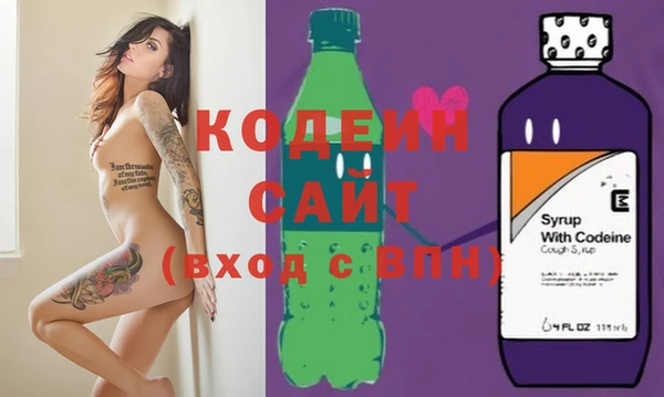 прущие грибы Вязьма