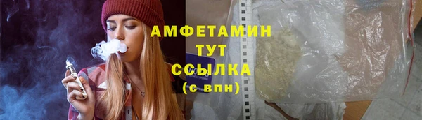 прущие грибы Вязьма