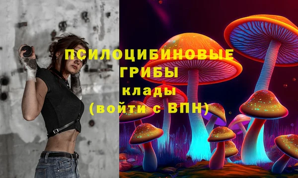 соль ск Вяземский