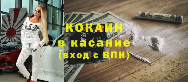 прущие грибы Вязьма