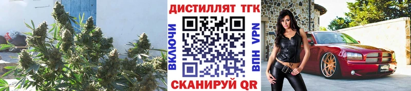 Дистиллят ТГК гашишное масло  darknet наркотические препараты  Омск 
