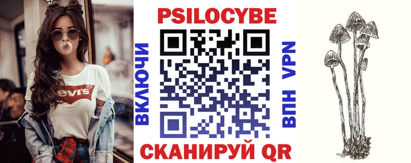Галлюциногенные грибы Psilocybine cubensis  Омск 
